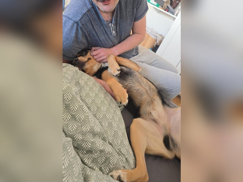 Zako sucht sein Für-Immer-Zuhause ❤️