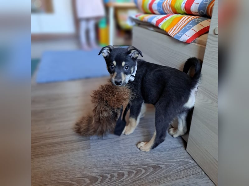 Liebevolles Zuhause für kleinen Pablo gesucht