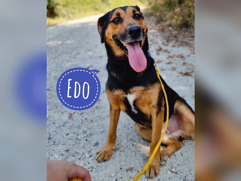 Edo ein lieber Kerl
