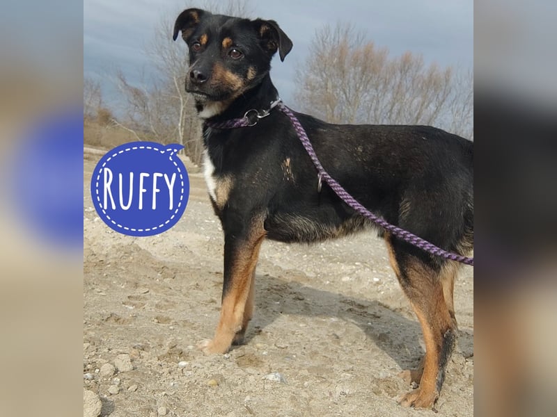 Ruffy ein braver Bub