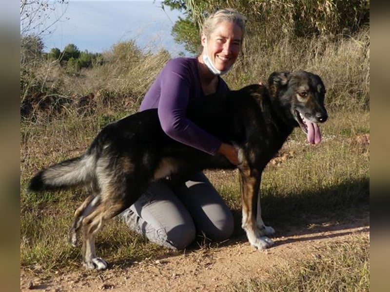 Baldo
