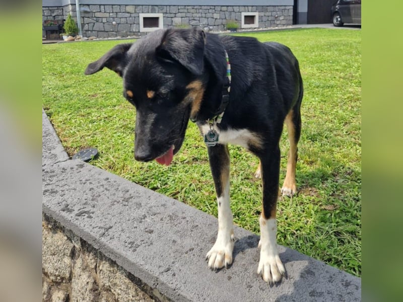 Jerry ist mein Name – und warte in PLZ 69509 auf Besuch von DIR