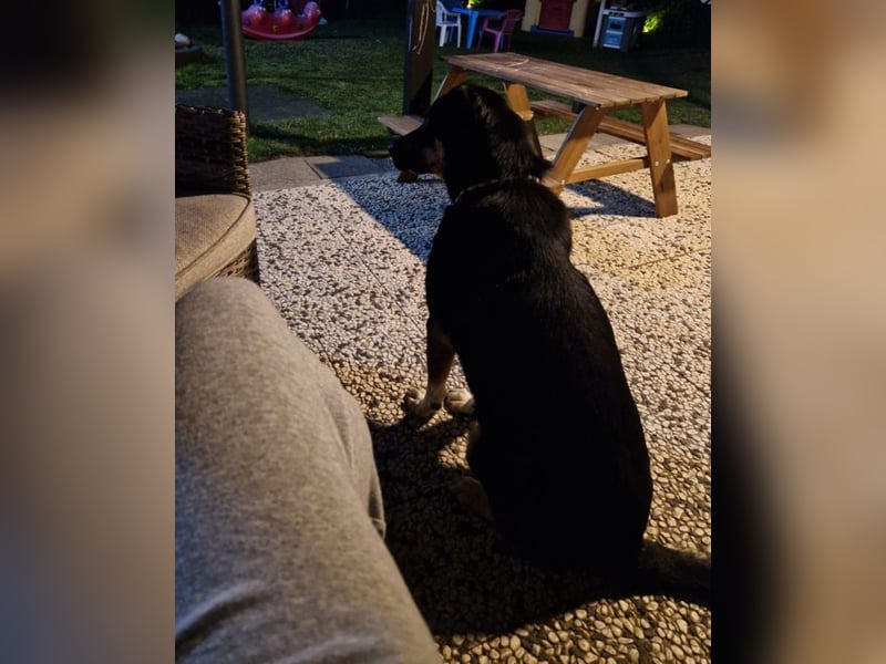 Jerry ist mein Name – und warte in PLZ 69509 auf Besuch von DIR