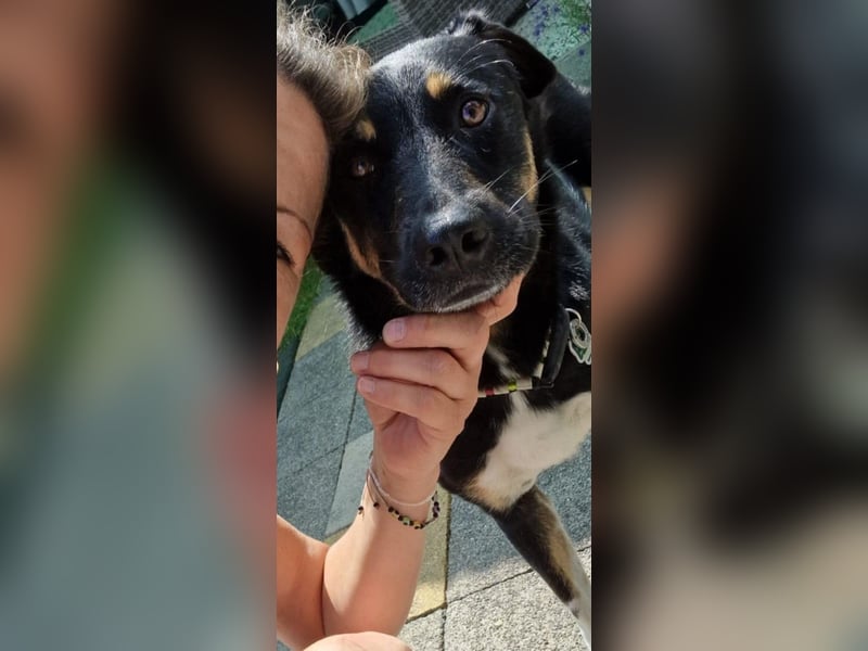 Jerry ist mein Name – und warte in PLZ 69509 auf Besuch von DIR