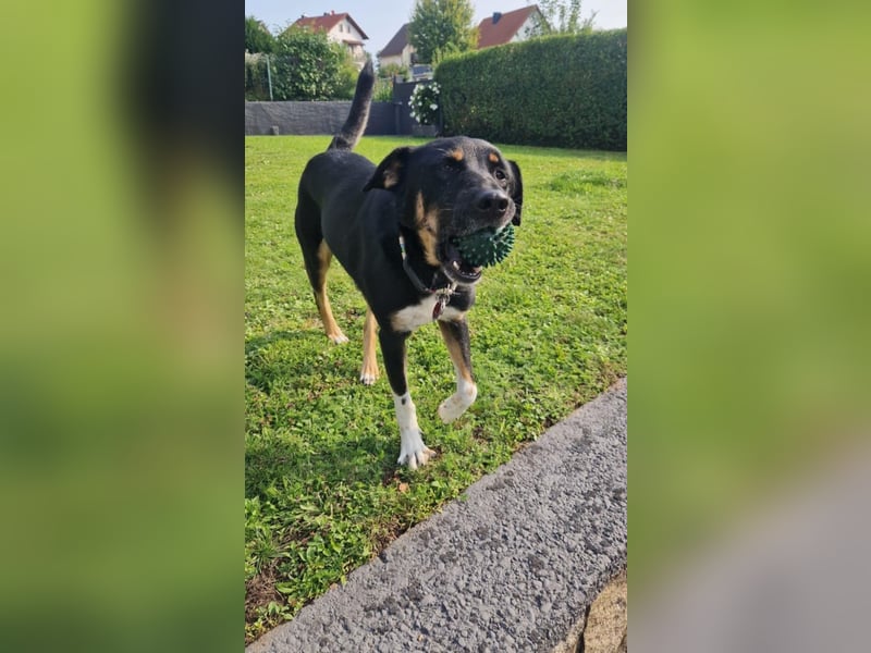 Jerry ist mein Name – und warte in PLZ 69509 auf Besuch von DIR