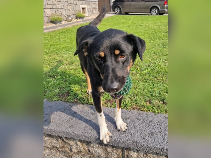 Jerry ist mein Name – und warte in PLZ 69509 auf Besuch von DIR