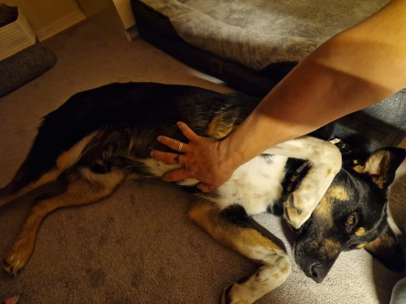Jerry ist mein Name – und warte in PLZ 69509 auf Besuch von DIR