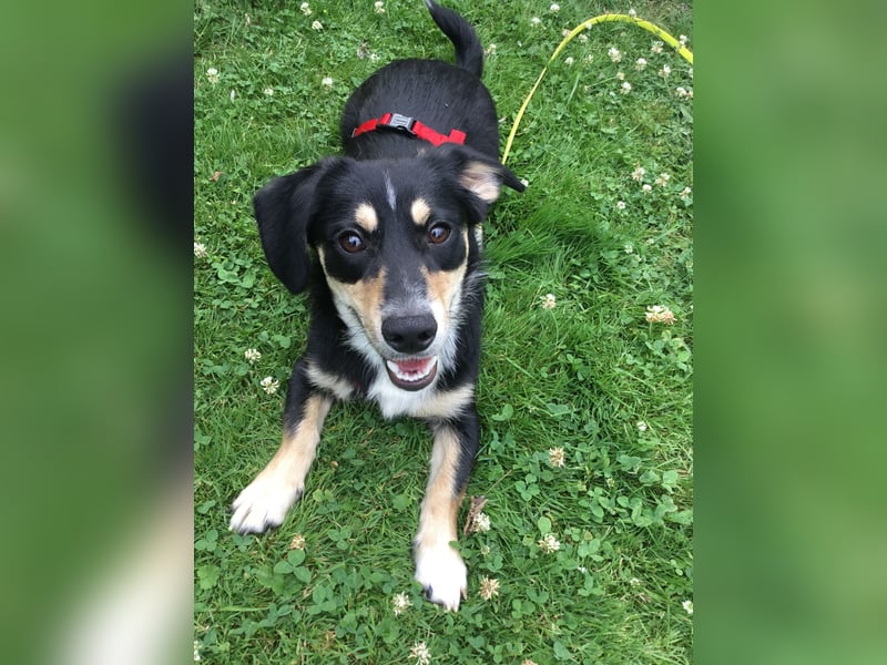 SAMY - ein, lieber kleiner Schatz