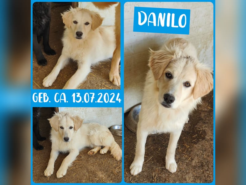 Danilo, Bub, 9 Monate, Größe gerne nachfragen
