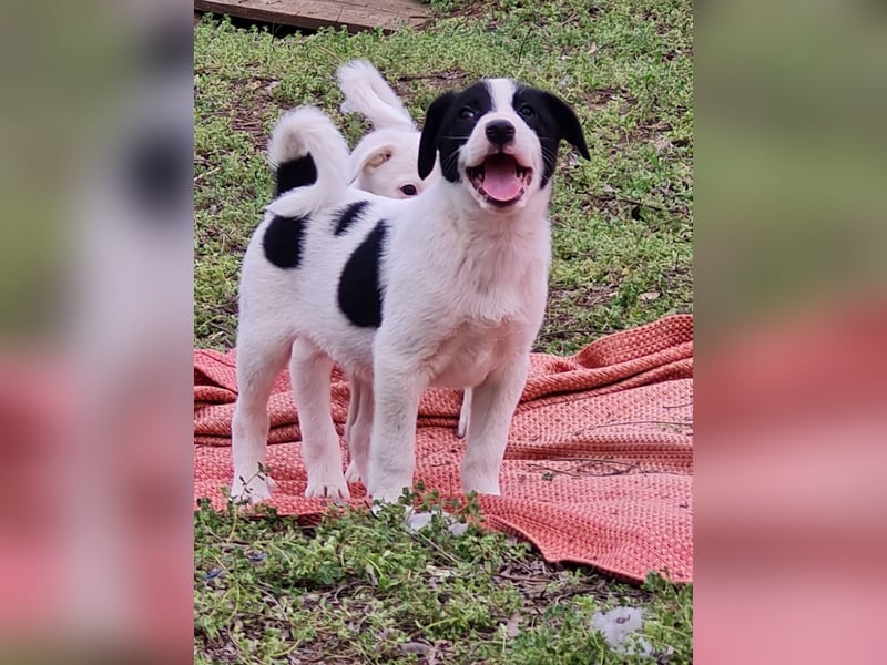 Inger, Bub, 3 Monate, aktuelle Größe nachfragen