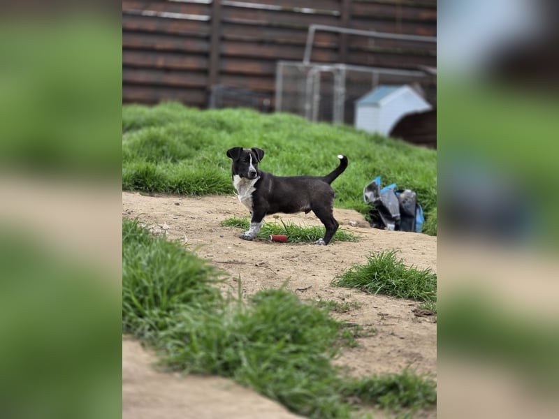 Franz.  Bub, 5 Monate, aktuelle Größe nachfragen