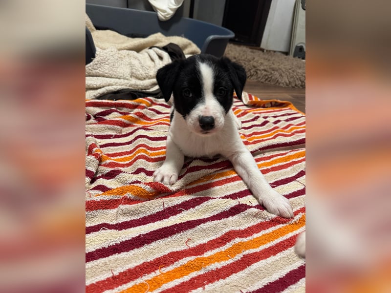 Inger, Bub, 3 Monate, aktuelle Größe nachfragen