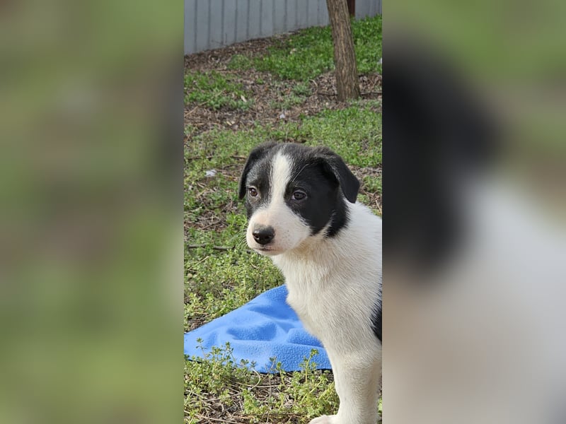 Inger, Bub, 3 Monate, aktuelle Größe nachfragen