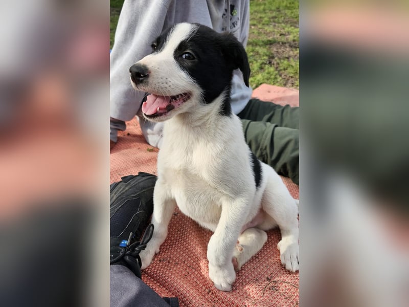 Inger, Bub, 3 Monate, aktuelle Größe nachfragen