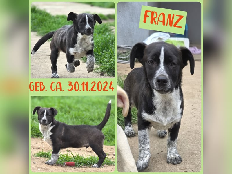 Franz.  Bub, 5 Monate, aktuelle Größe nachfragen