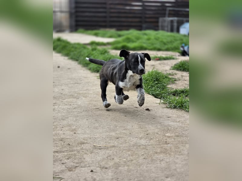 Franz.  Bub, 5 Monate, aktuelle Größe nachfragen