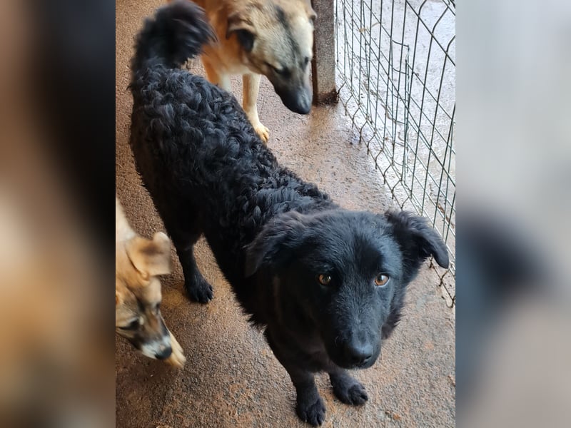 Micha, ein lernbegieriger Bub , kann in Deutschland auf seiner Pflegestelle besucht werden