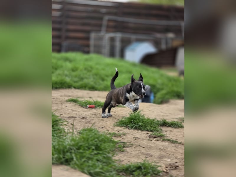 Franz.  Bub, 5 Monate, aktuelle Größe nachfragen