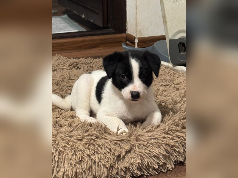 Inger, Bub, 3 Monate, aktuelle Größe nachfragen