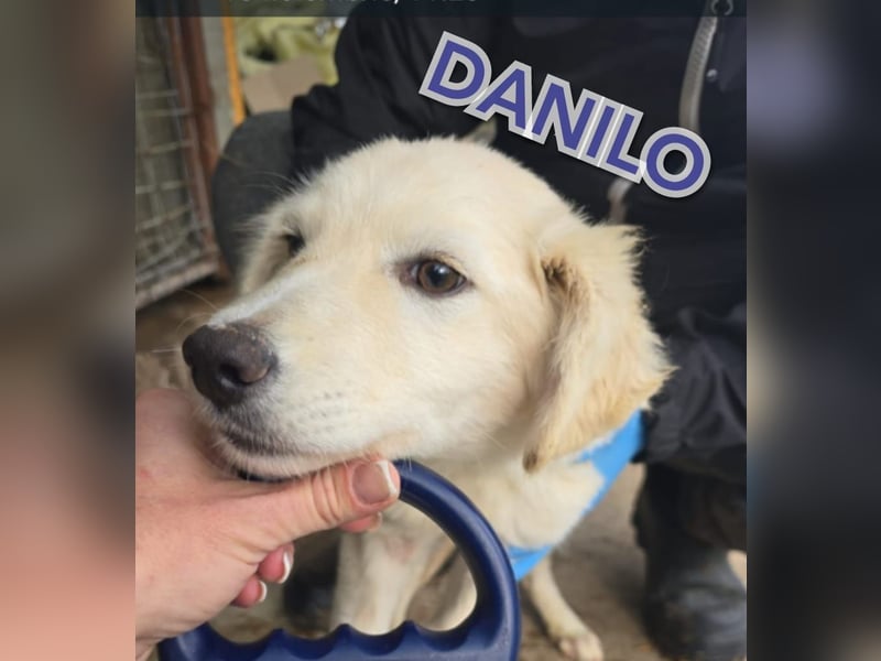 Danilo, Bub, 9 Monate, Größe gerne nachfragen