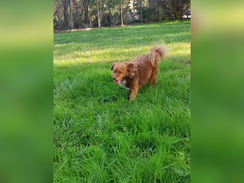 AARON sucht ein liebevolles Zuhause
