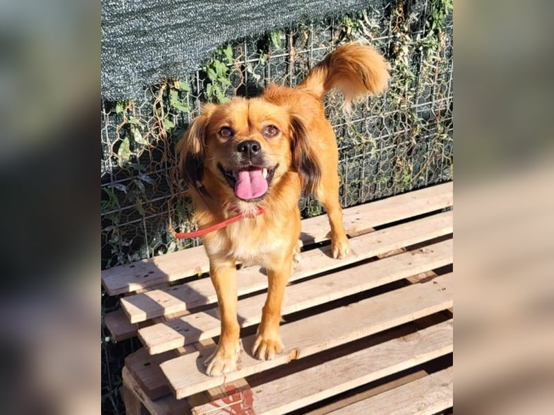 TUCO - so ein toller Schatz