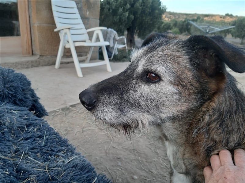 ARUNDO – Senior sucht Paten