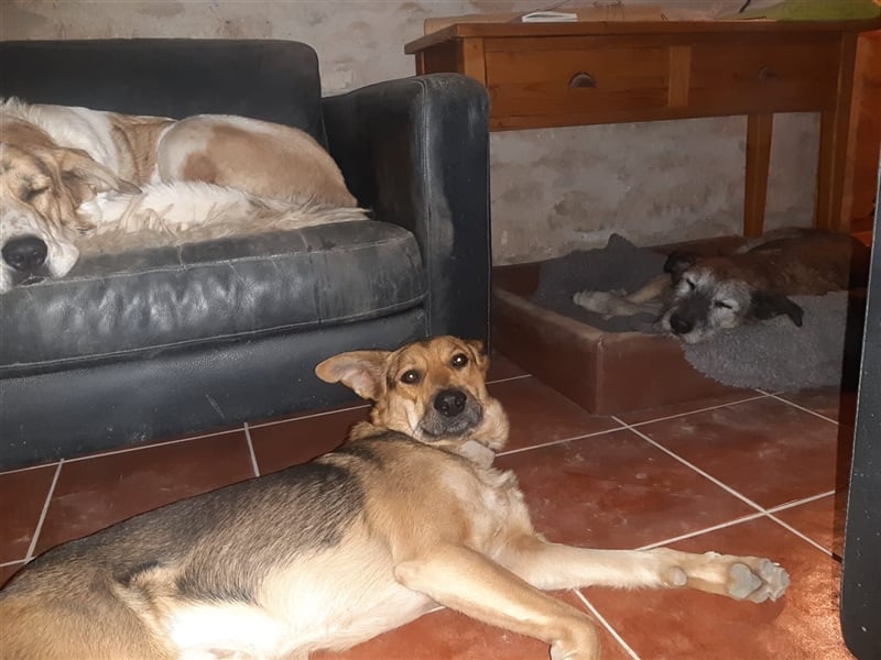 ARUNDO – Senior sucht Paten