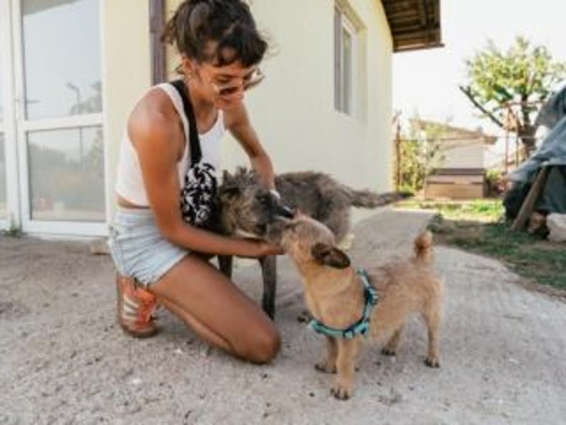 Zuckersüßer JIMMY-neugierig und aufgeweckt