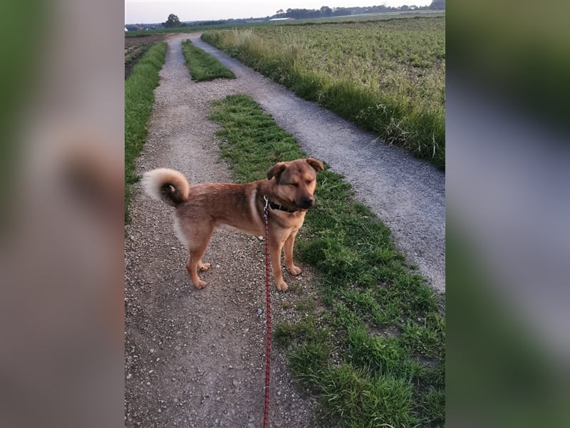 Tommy: manchmal kommt es anders, als man denkt...