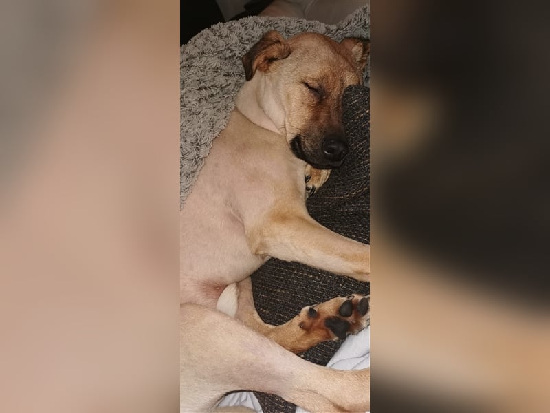 Tommy: manchmal kommt es anders, als man denkt...