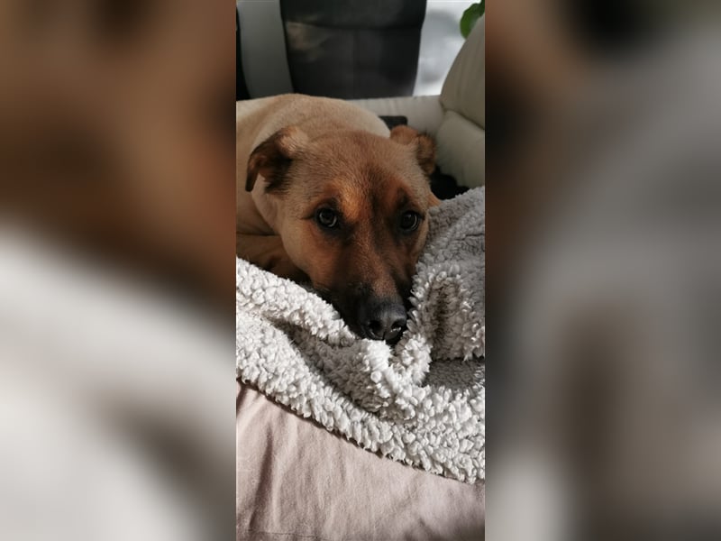 Tommy: manchmal kommt es anders, als man denkt...