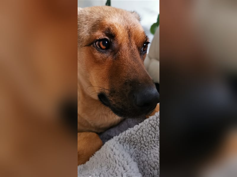 Tommy: manchmal kommt es anders, als man denkt...