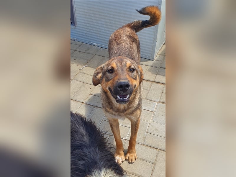 Ruben: ein 6-er im Lotto - Video