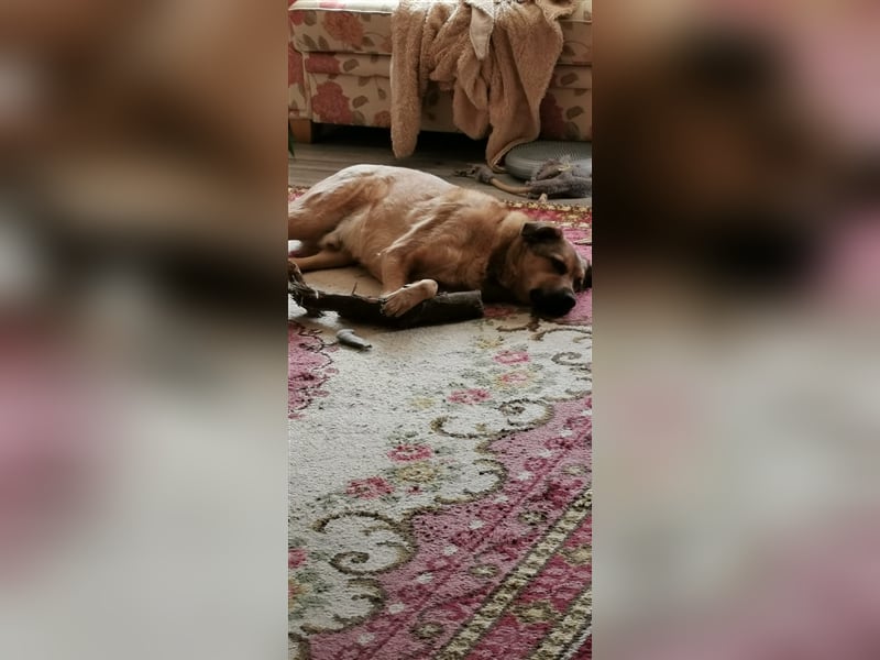Tommy: manchmal kommt es anders, als man denkt...