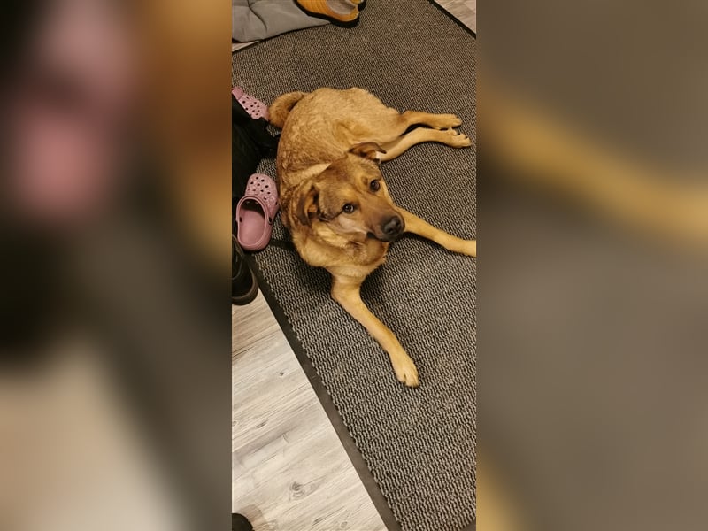 Tommy: manchmal kommt es anders, als man denkt...