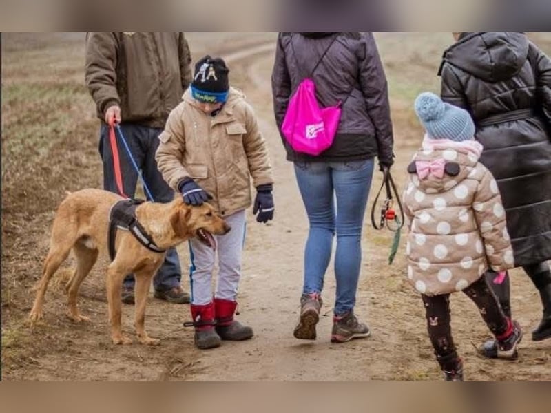 Ati, Sportskanone sucht Menschen, die fit sind