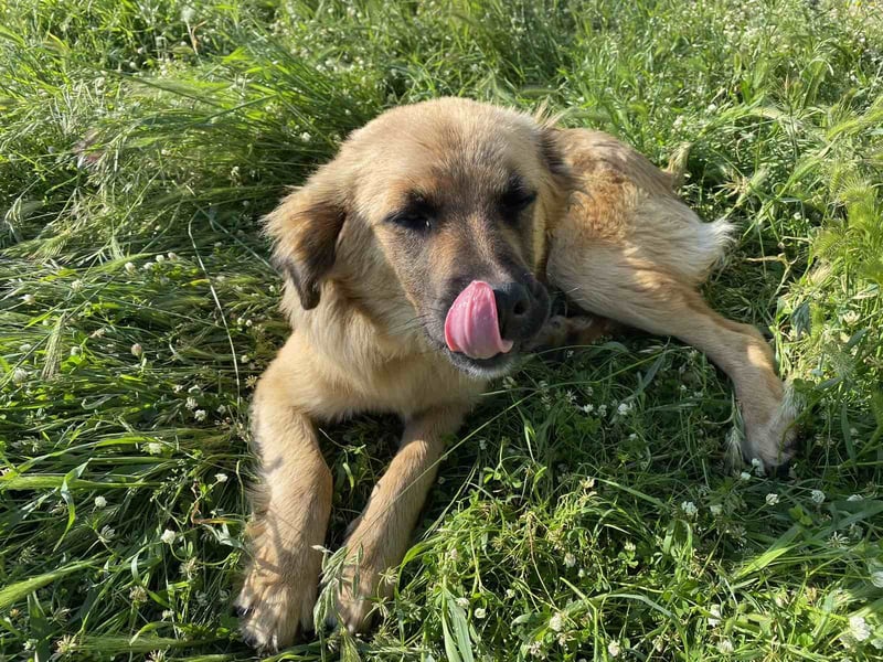 Was Chiko noch fehlt, bist Du