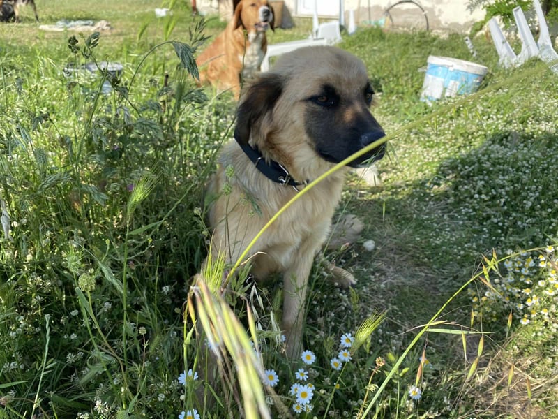 Was Chiko noch fehlt, bist Du