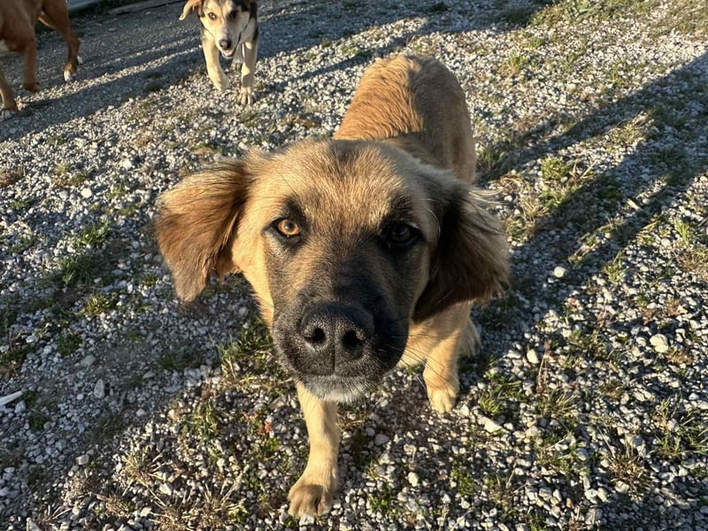 Was Chiko noch fehlt, bist Du