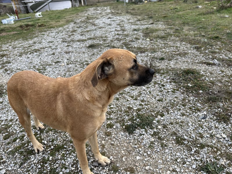 Boomer – Und es hat Boom gemacht!
