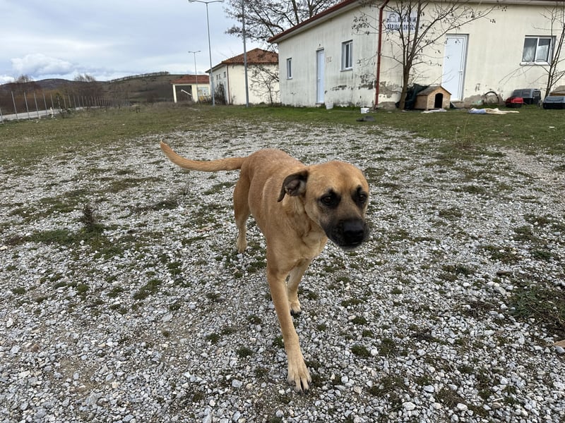 Boomer – Und es hat Boom gemacht!
