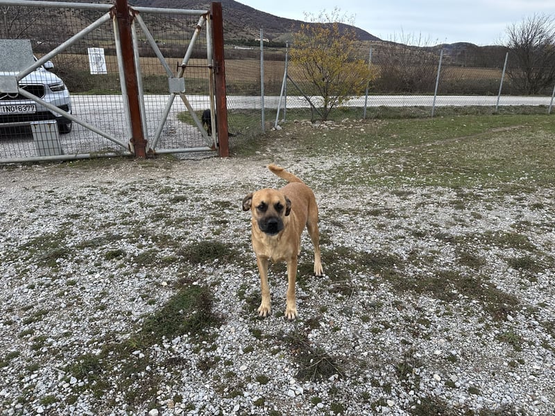 Boomer – Und es hat Boom gemacht!