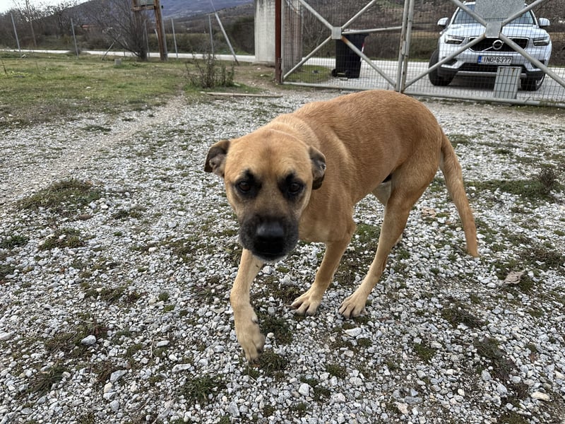 Boomer – Und es hat Boom gemacht!