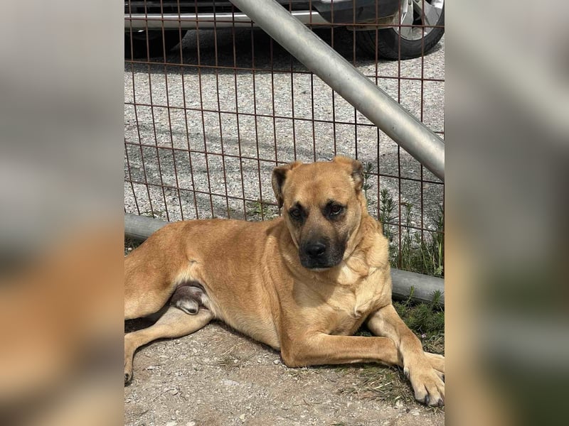 Boomer – Und es hat Boom gemacht!
