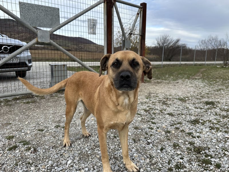 Boomer – Und es hat Boom gemacht!