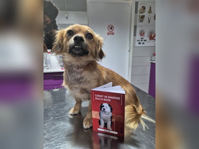 LUCKY - will die Welt entdecken