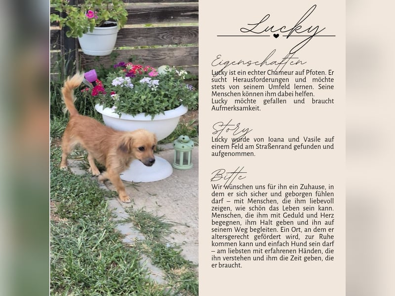 LUCKY - will die Welt entdecken
