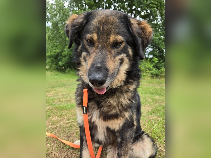 Morti sucht ein neues Zuhause