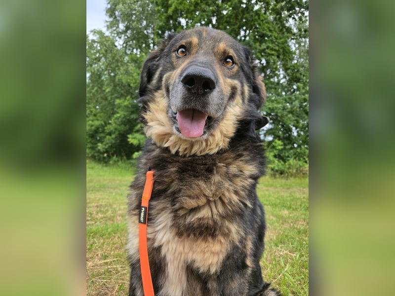 Morti sucht ein neues Zuhause